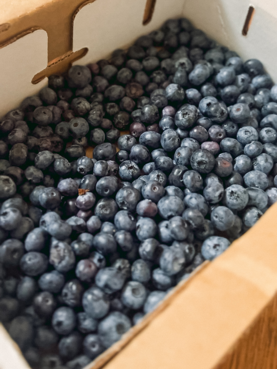 box of blueberries, blueberry health benefits